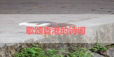 歌颂香港的诗词 