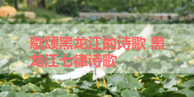歌颂黑龙江的诗歌 黑龙江七律诗歌