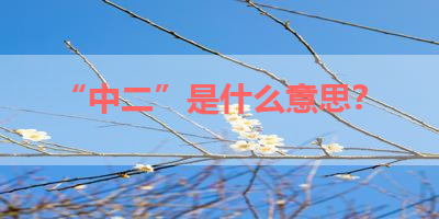 “中二”是什么意思？ 
