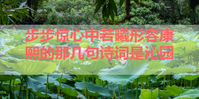 步步惊心中若曦形容康熙的那几句诗词是沁园 