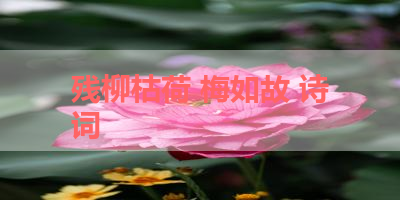 残柳枯荷 梅如故 诗词 