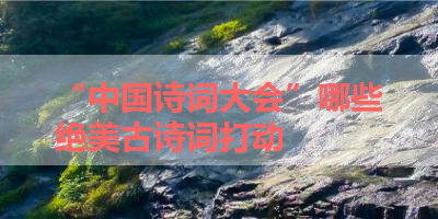 “中国诗词大会”哪些绝美古诗词打动 