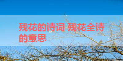 残花的诗词 残花全诗的意思
