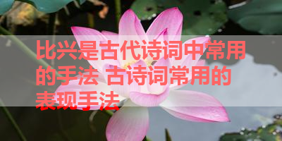 比兴是古代诗词中常用的手法 古诗词常用的表现手法