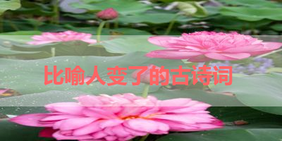 比喻人变了的古诗词 