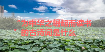 “为中华之崛起而读书”的古诗词是什么 