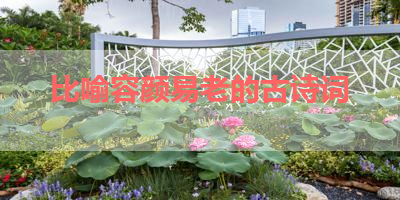 比喻容颜易老的古诗词 