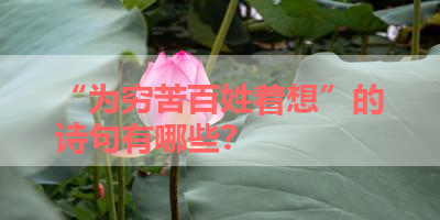 “为穷苦百姓着想”的诗句有哪些？ 