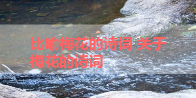 比喻梅花的诗词 关于梅花的诗词