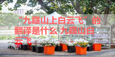 “九嶷山上白云飞”的翻译是什么 九嶷山白云飞