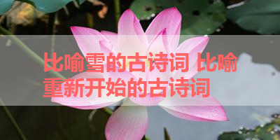 比喻雪的古诗词 比喻重新开始的古诗词
