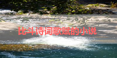 比斗诗词歌赋的小说 