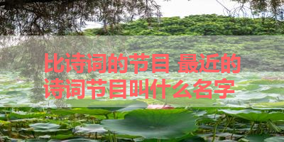 比诗词的节目 最近的诗词节目叫什么名字 