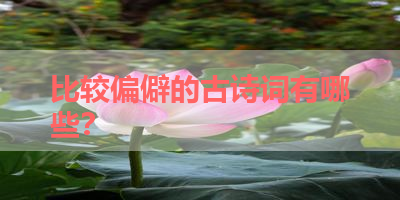 比较偏僻的古诗词有哪些？ 