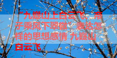 “九嶷山上白云飞、帝子乘风下翠微”表达怎样的思想感情 九嶷山白云飞