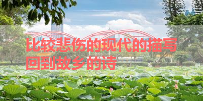 比较悲伤的现代的描写回到故乡的诗 
