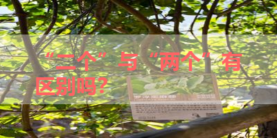 “二个”与“两个”有区别吗？ 