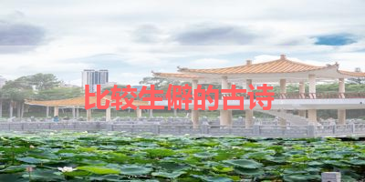 比较生僻的古诗 