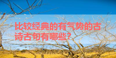 比较经典的有气势的古诗古句有哪些？ 