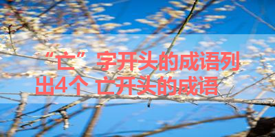 “亡”字开头的成语列出4个 亡开头的成语