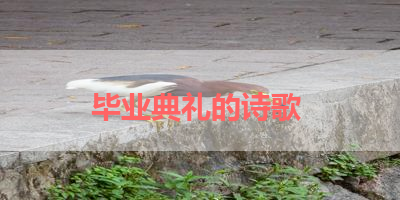 毕业典礼的诗歌 