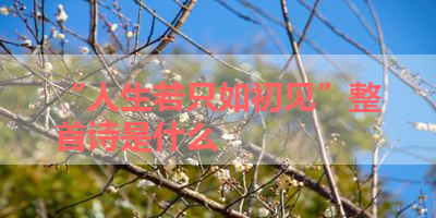 “人生若只如初见”整首诗是什么 