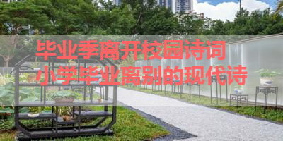 毕业季离开校园诗词 小学毕业离别的现代诗 