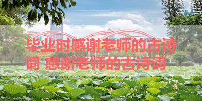 毕业时感谢老师的古诗词 感谢老师的古诗词