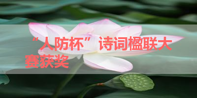 “人防杯”诗词楹联大赛获奖 