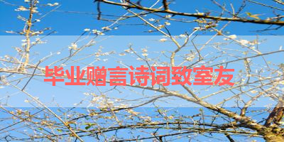 毕业赠言诗词致室友 