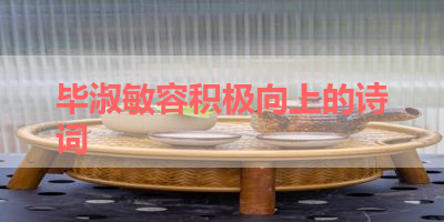 毕淑敏容积极向上的诗词 