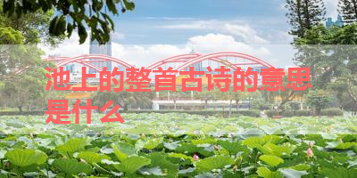 池上的整首古诗的意思是什么 