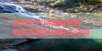 沉醉于古诗词的世界 有关沉醉其中的古诗词