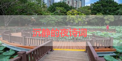沉静的夜诗词 