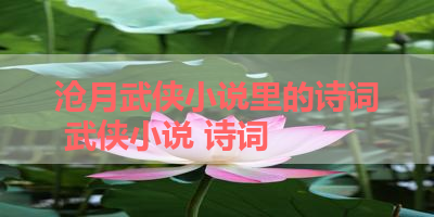 沧月武侠小说里的诗词 武侠小说 诗词