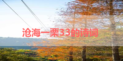 沧海一栗33的诗词 