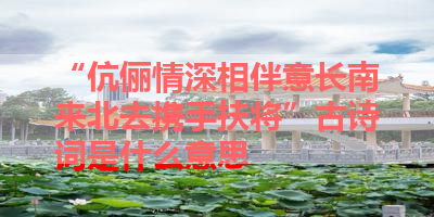 “伉俪情深相伴意长南来北去携手扶将”古诗词是什么意思 