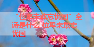 “位卑未敢忘忧国”全诗是什么 位卑未敢忘忧国