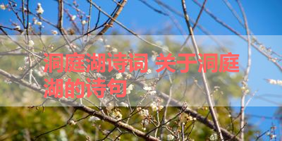 洞庭湖诗词 关于洞庭湖的诗句 