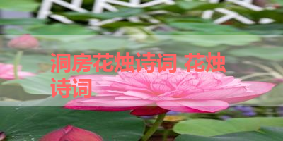 洞房花烛诗词 花烛 诗词