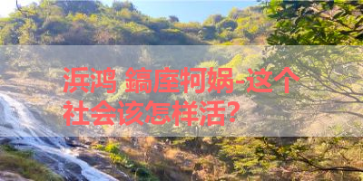 浜鸿 鎬庢牱娲-这个社会该怎样活？ 