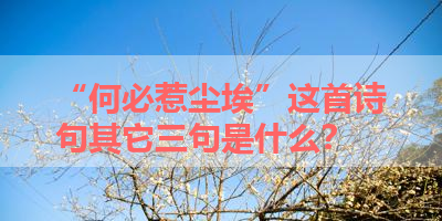“何必惹尘埃”这首诗句其它三句是什么？ 