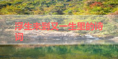 浮生未到又一生里的诗词 