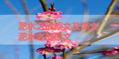 淝水之战原文及译文 淝水之战原文