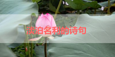 淡泊名利的诗句 