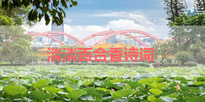 淡淡百合香诗词 