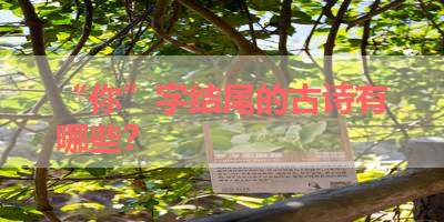 “你”字结尾的古诗有哪些？ 
