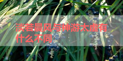 淡若晨风与神游太虚有什么不同 