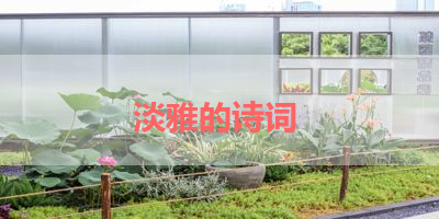 淡雅的诗词 