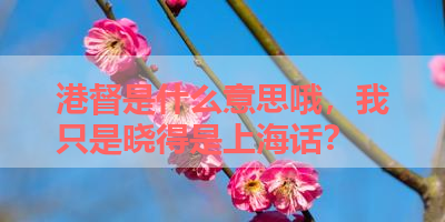 港督是什么意思哦，我只是晓得是上海话？ 